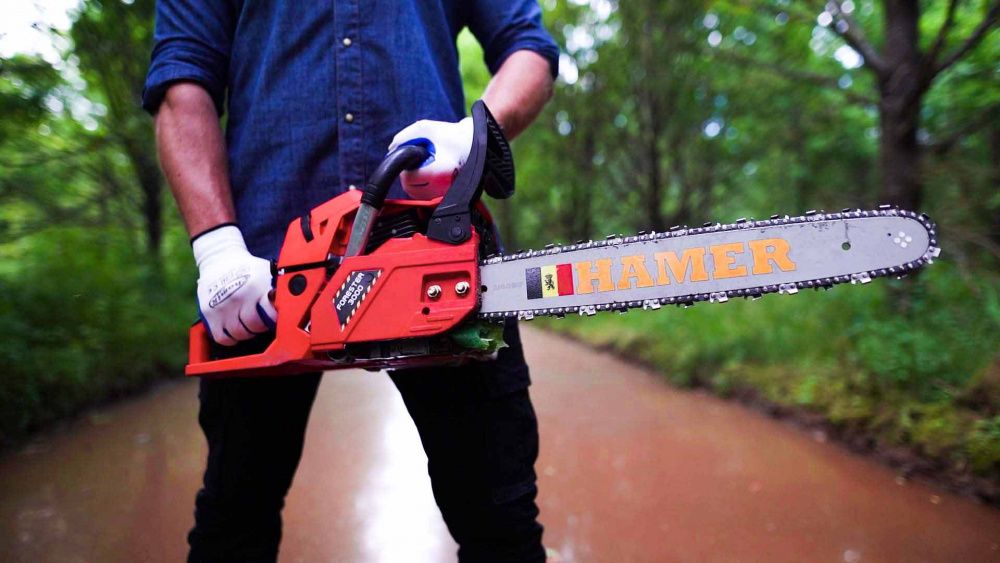 Бензопила HAMER Forester 3000 (СТСS62) вид модели бензопила hamer forester 3000 (стсs62)