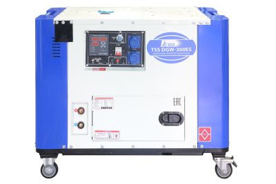 вид модели генератор сварочный дизельный в кожухе tss dgw-300es