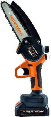 вид модели пила цепная мини partisan as-2146
